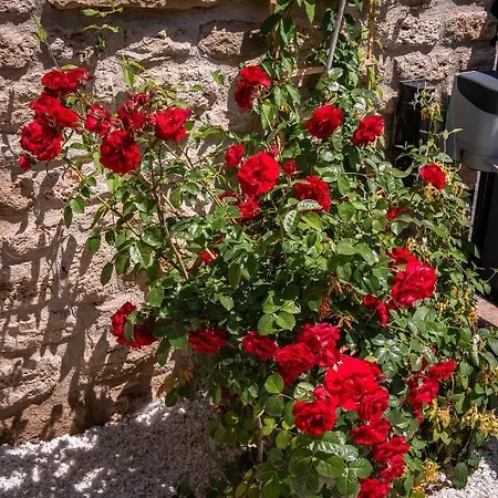 Artelier Гостевой дом